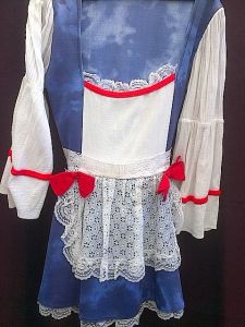 Adult Female Costumes to Hire - Dutch girl dress